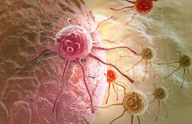 Phát hiện đáng kinh ngạc của Mỹ: Tế bào ung thư sợ nhất là tình yêu